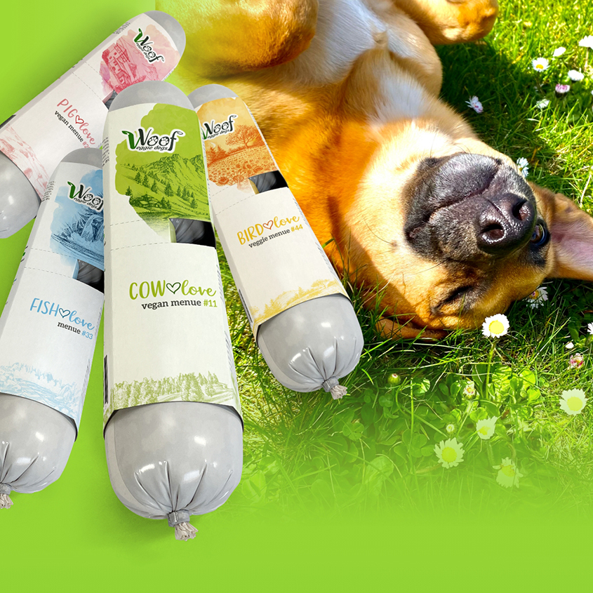 Teaser Ausschnitt Onlineshop Voof Veggie Dogs; Verlinkung zu Referenzseite Onlineshop Voof Veggie Dogs
