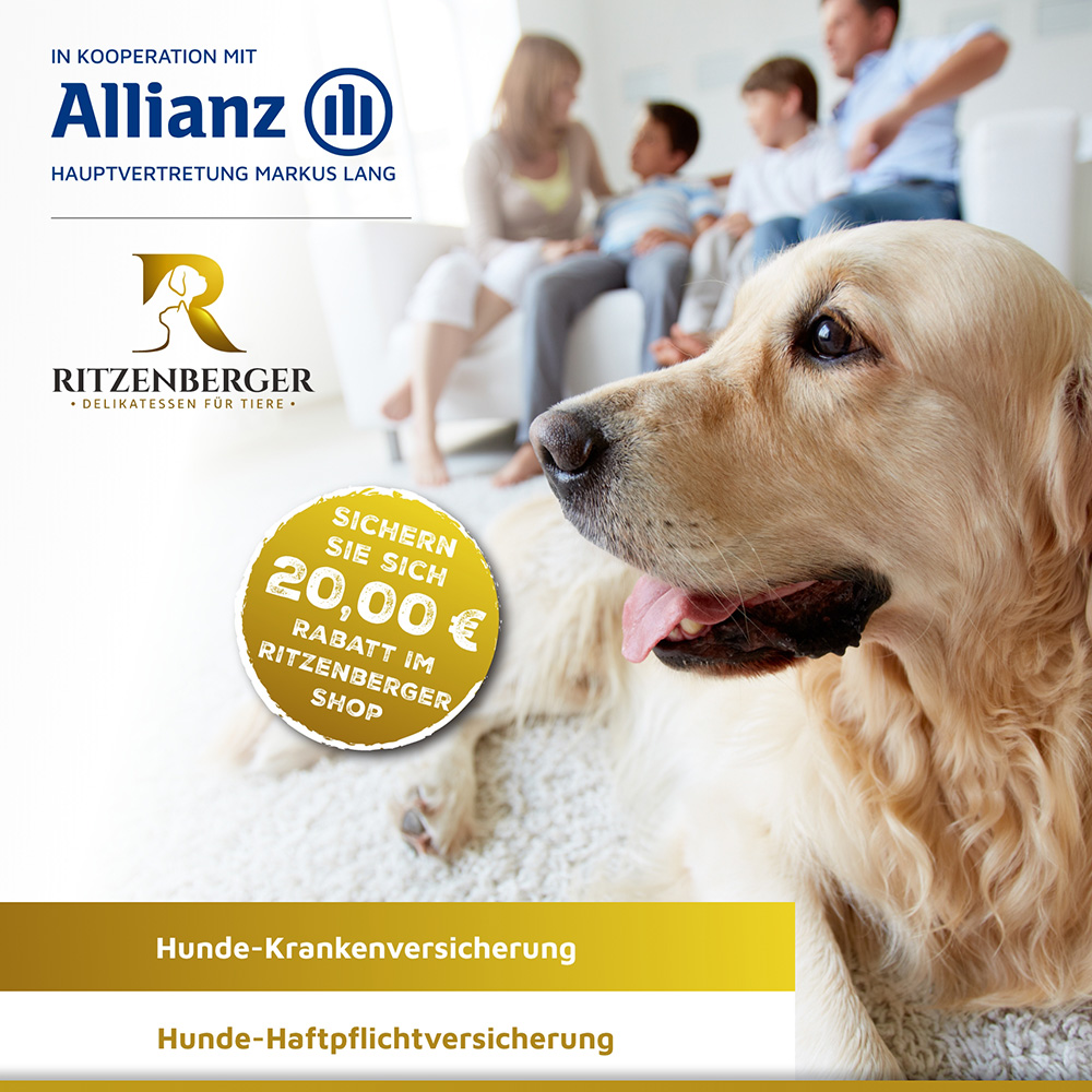 Teaser Quadrat verlinkt, Ausschnitt Kooperation Allianz und Ritzenberger Hundeversicherung; im hellen Hintergrund glückliche Familie; im Vordergrund Golden Retriever schaut nach links auf Textinfos und Preosangebot