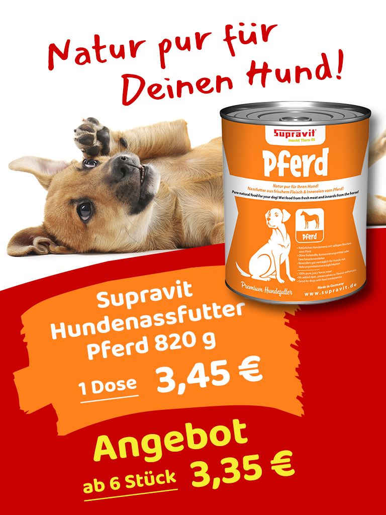 Teaser Hundefutter: Niedlicher champagnerfarbener Welpe liegt auf dem Rücken und hebt Pfote ans Ohr, im Vordergrund Dose Hundefutter, darunter Preislabel mit Angebot