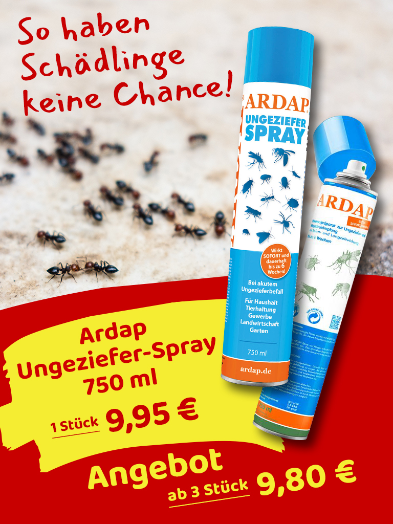 Teaser Schädlingsbekämpfung: Nahaufnahme Nahaufnahme wuselnde Ameisen, im Vordergrund zwei Dosen Ungezieferspray, darunter Preislabel mit Angebot